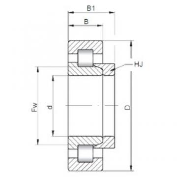 17 mm x 40 mm x 12 mm  ISO NH203 cylindrical roller bearings