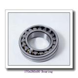 170 mm x 260 mm x 90 mm  ISO 24034 K30CW33+AH24034 spherical roller bearings